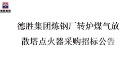 德勝集團(tuán)煉鋼廠轉(zhuǎn)爐煤氣放散塔點(diǎn)火器招標(biāo)項目