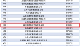 德勝集團連續(xù)14年上榜中國企業(yè)500強